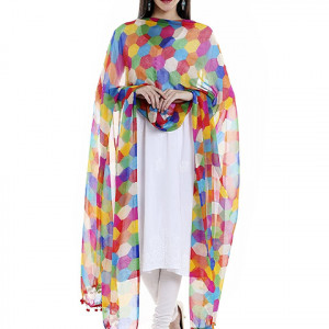 Women's Multicoloured Printed Chiffon Dupatta